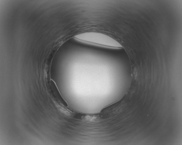 X0000080740570200612150935