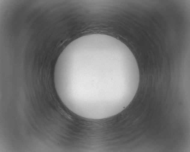 X0000080740572200612150935