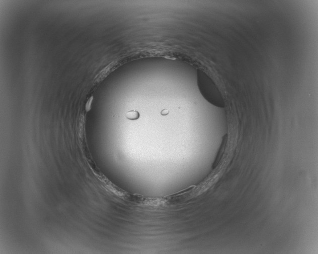 X0000080740576200612150935