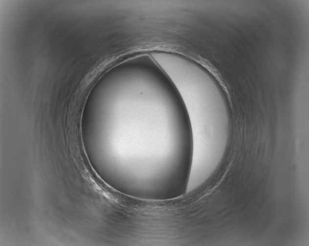 X0000080740577200612150934