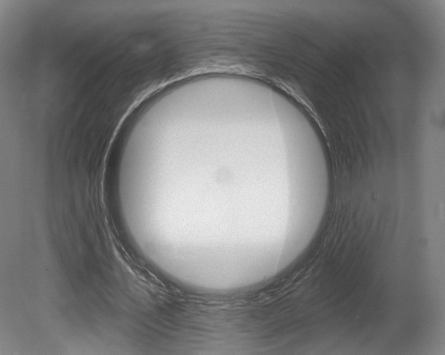 X0000080740579200612150934