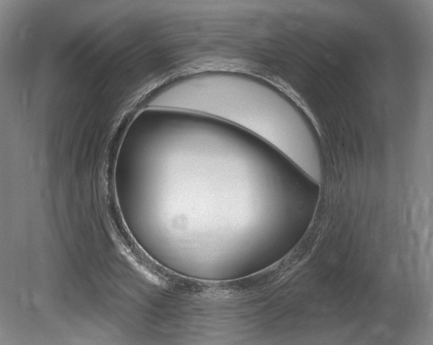 X0000080740581200612150934