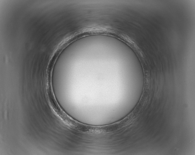 X0000080740582200612150934