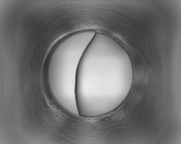 X0000080740583200612150934