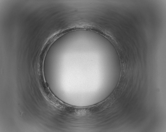 X0000080740587200612150934