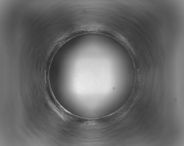 X0000080740589200612150934