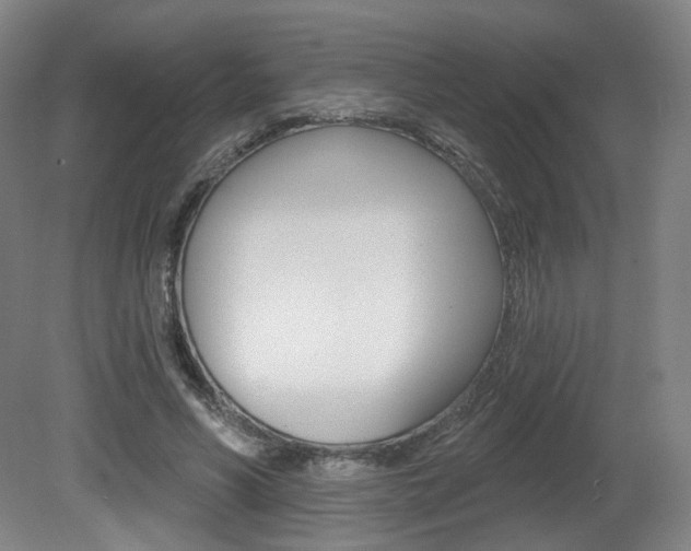 X0000080740590200612150934