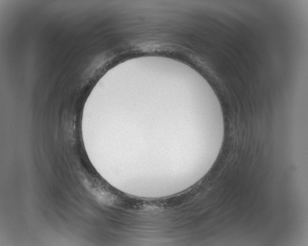 X0000080740592200612150934