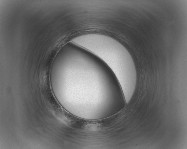 X0000080740595200612150934