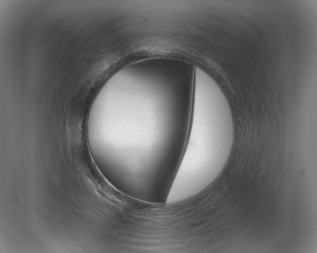 X0000080740596200612150934