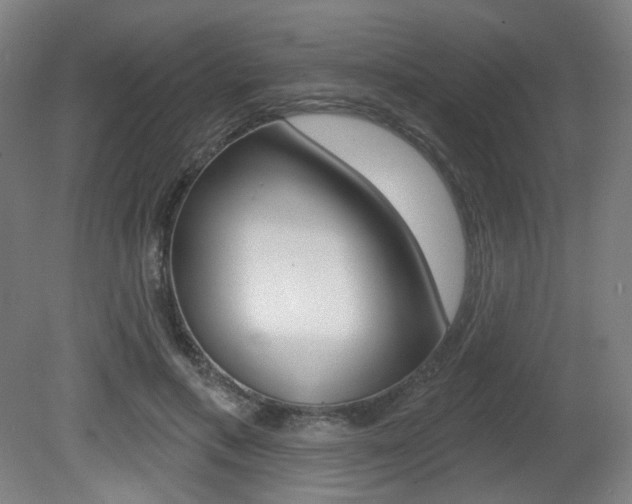 X0000080740597200612150934
