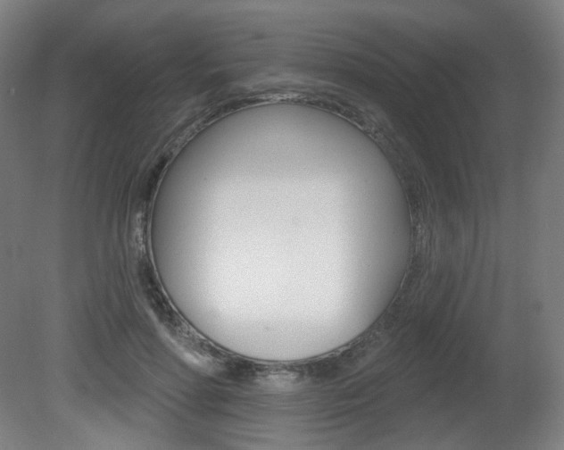 X0000080740598200612150934