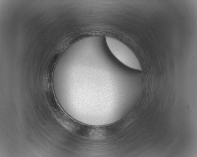 X0000080740599200612150934