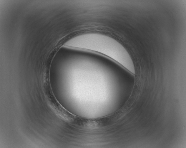 X0000080740600200612150934