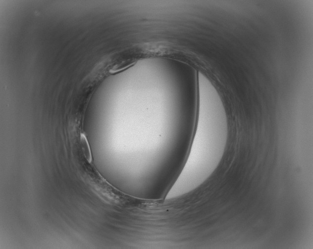 X0000080740601200612150934
