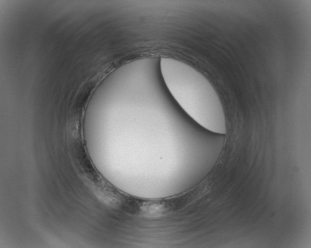 X0000080740602200612150934