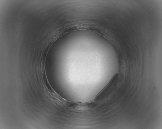 X0000080740604200612150934