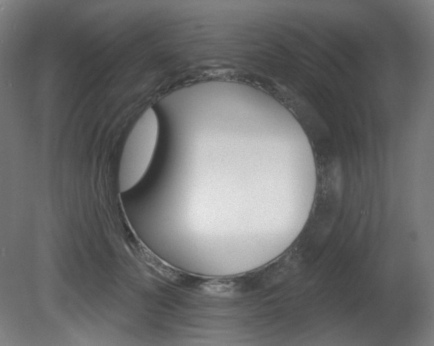X0000080740606200612150934