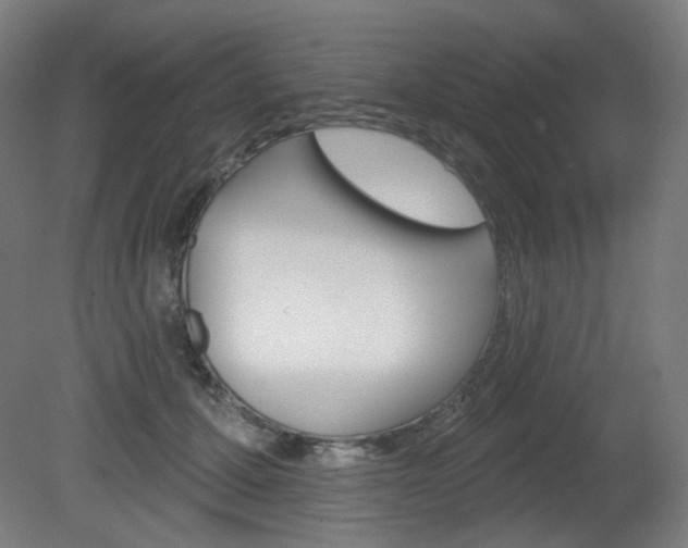 X0000080740607200612150934