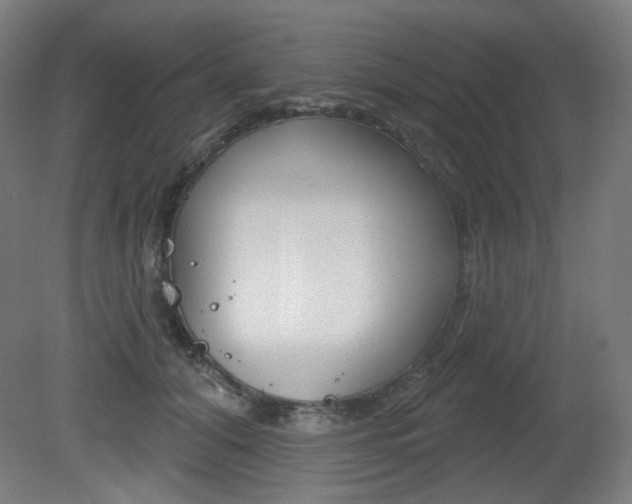 X0000080740608200612150934