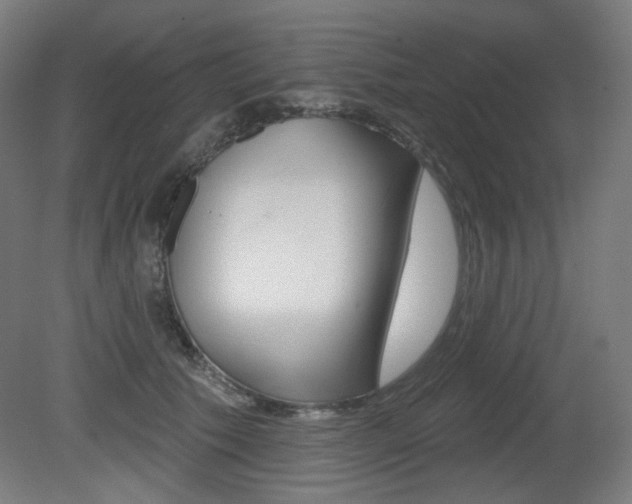 X0000080740609200612150934