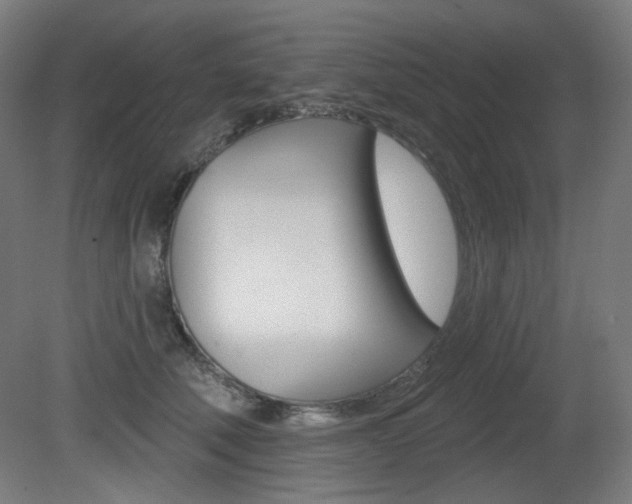 X0000080740610200612150934