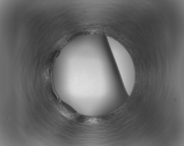 X0000080740611200612150934