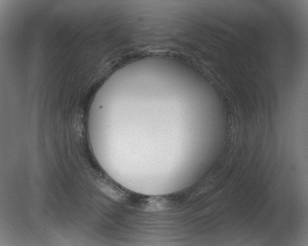 X0000080740612200612150934
