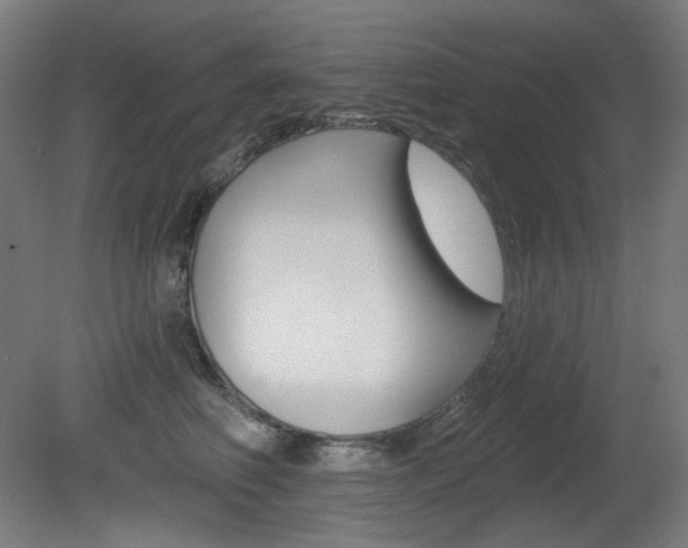 X0000080740614200612150934
