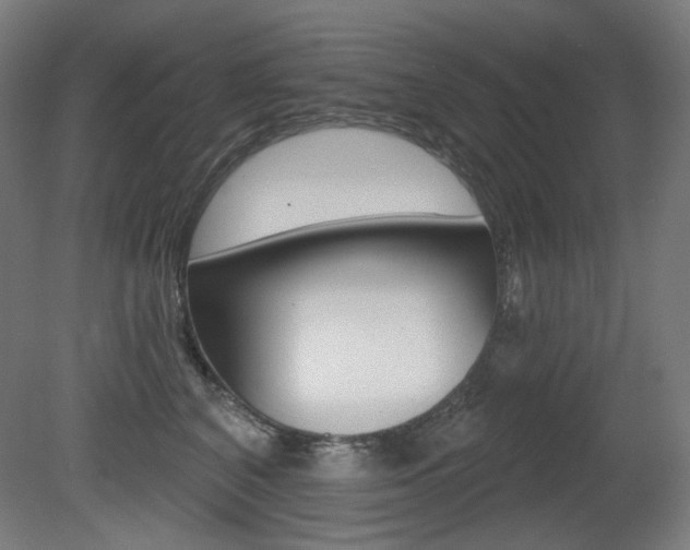 X0000080740616200612150934