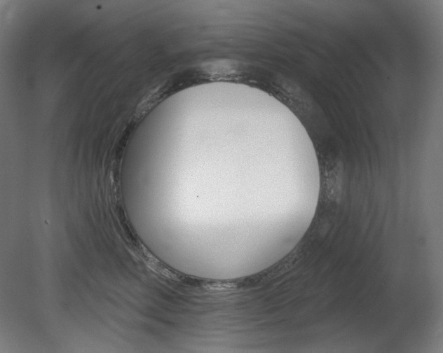 X0000080740618200612150934