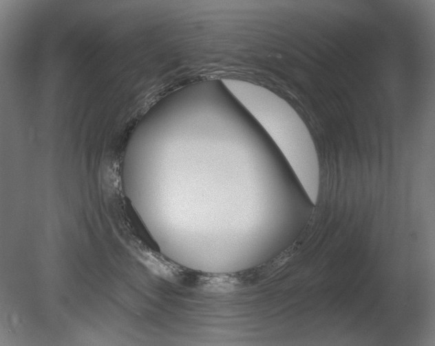 X0000080740621200612150933