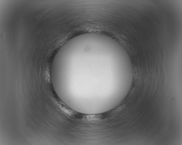 X0000080740622200612150933