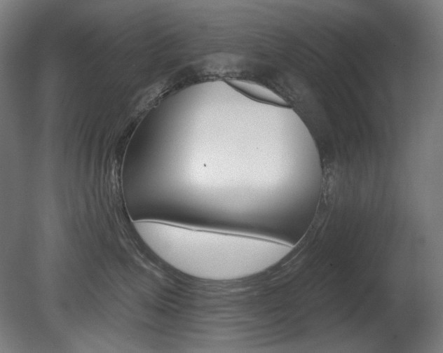 X0000080740623200612150933