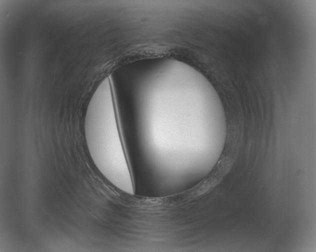 X0000080740624200612150933