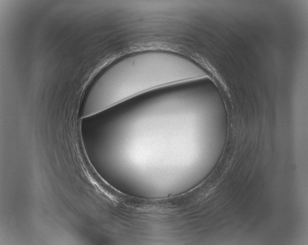 X0000080740625200612150933