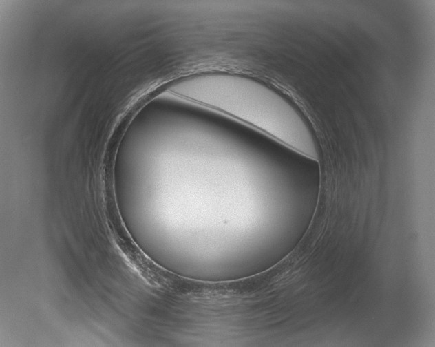 X0000080740626200612150933