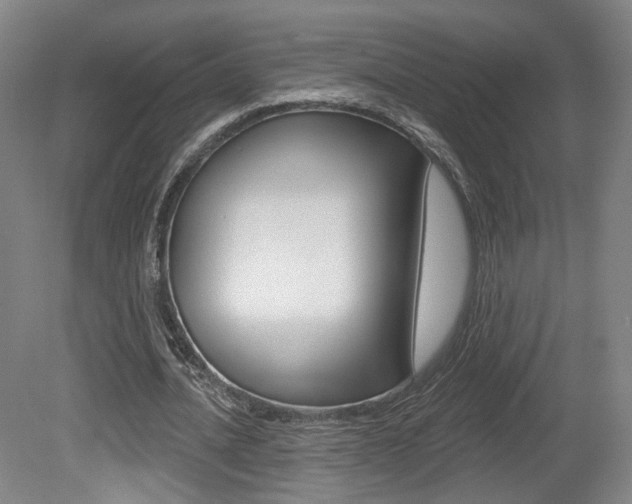 X0000080740628200612150933