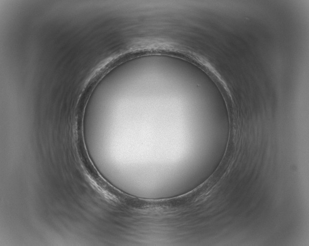 X0000080740629200612150933