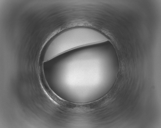 X0000080740630200612150933