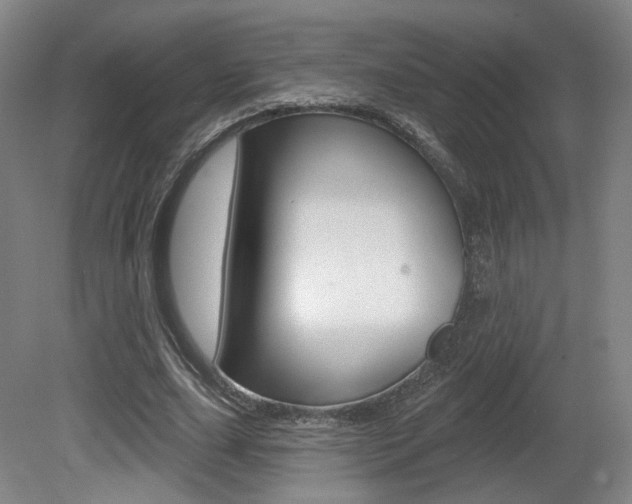 X0000080740631200612150933