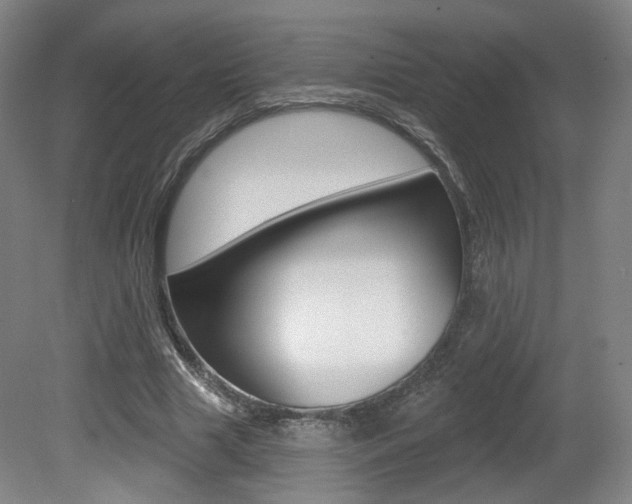 X0000080740633200612150933