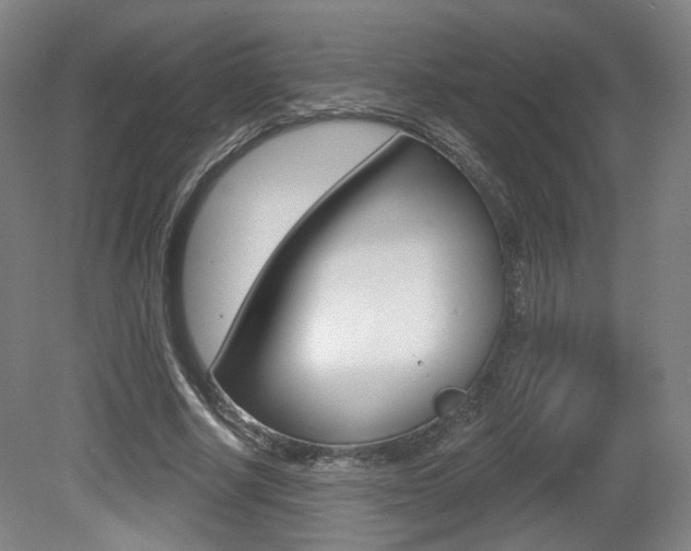 X0000080740634200612150933