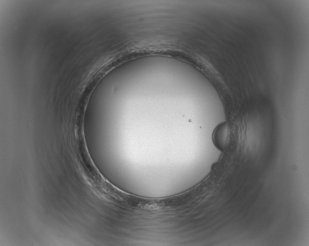 X0000080740635200612150933