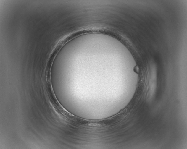 X0000080740636200612150933