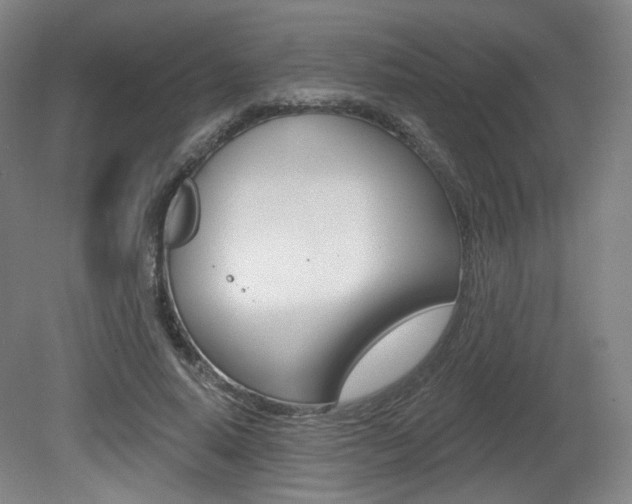 X0000080740640200612150933