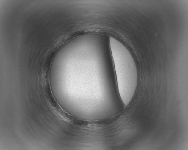 X0000080740641200612150933