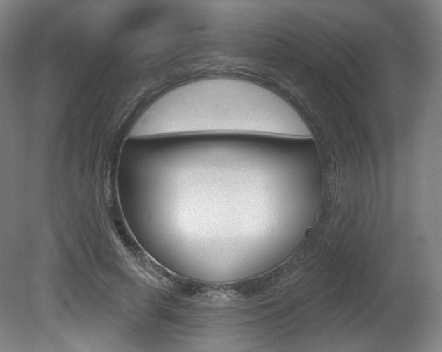 X0000080740642200612150933