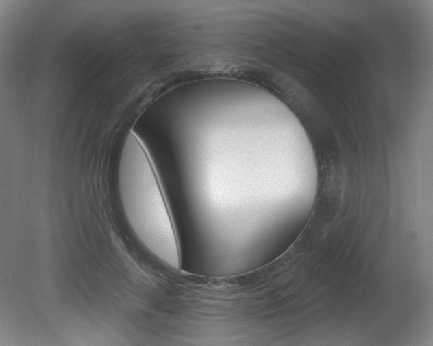 X0000080740643200612150933