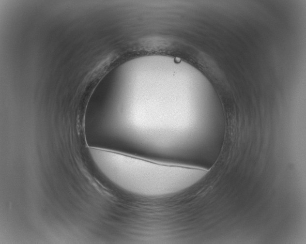 X0000080740644200612150933